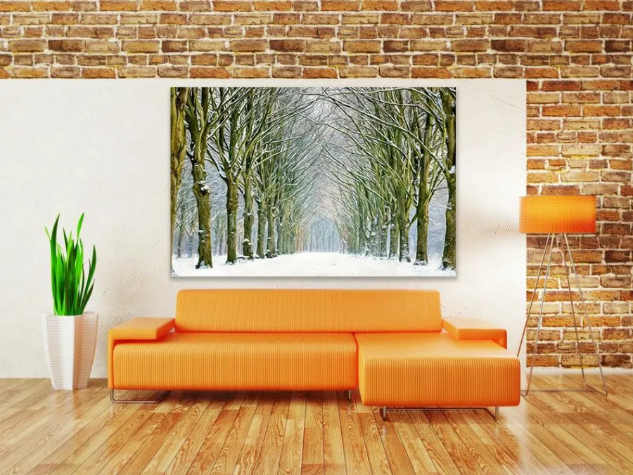 Wandkraft Tunnel of Trees Discount