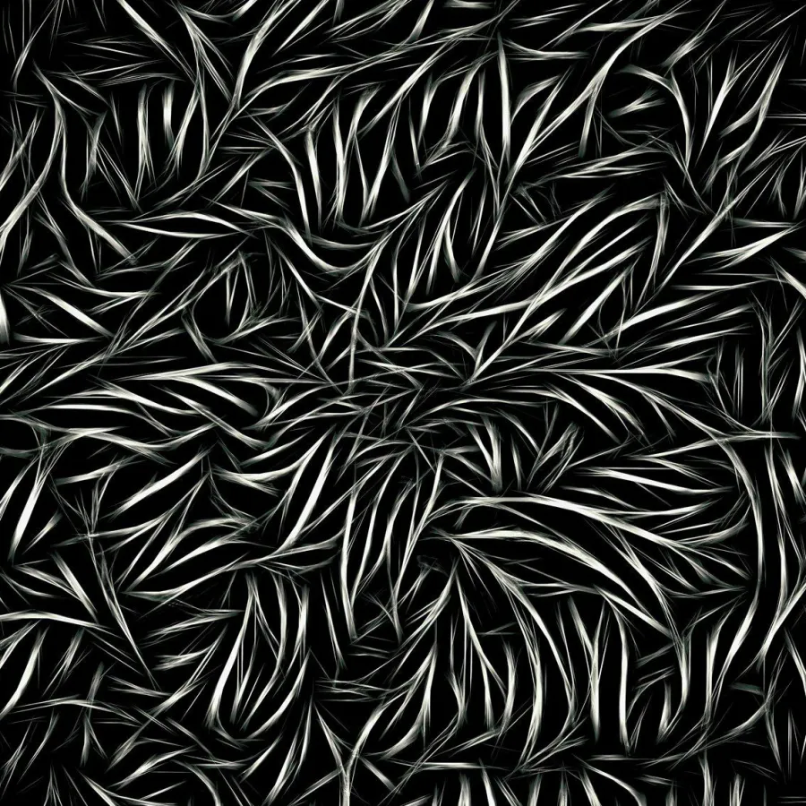 Wandkraft Voluntary Entangled Hot