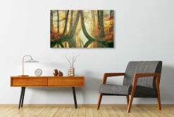 Wandkraft Waterjuffers Outlet
