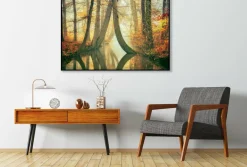 Wandkraft Waterjuffers Outlet
