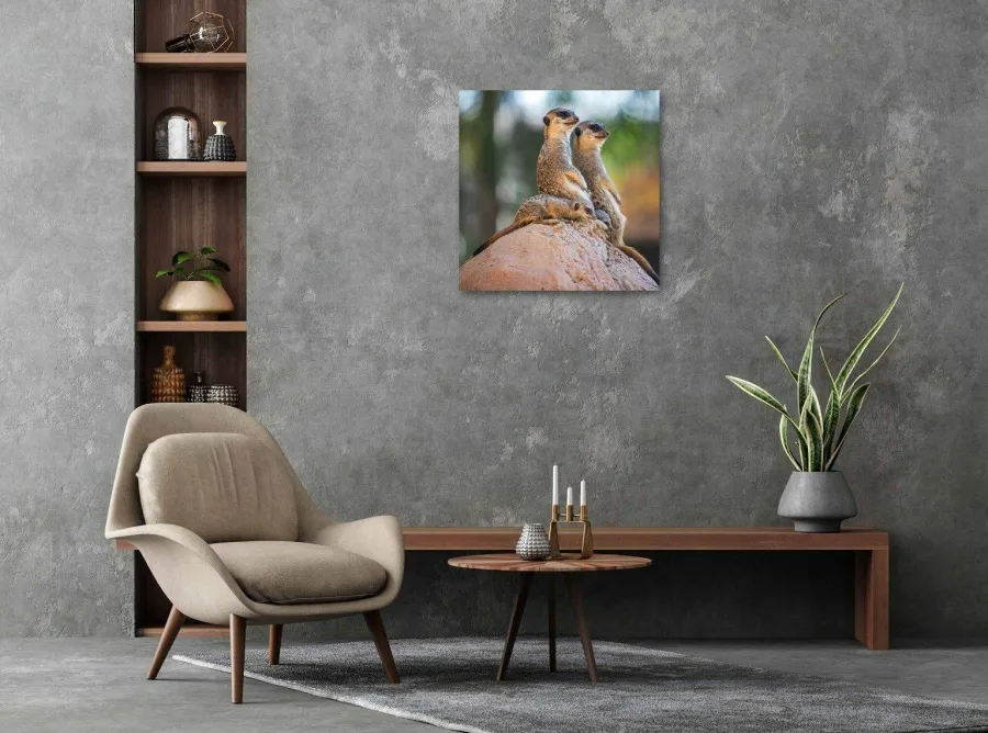 Wandkraft Wildlife 017 Discount
