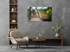 Wandkraft Wildlife 017 Discount