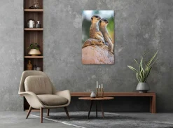 Wandkraft Wildlife 017 Discount