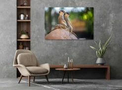 Wandkraft Wildlife 017 Discount
