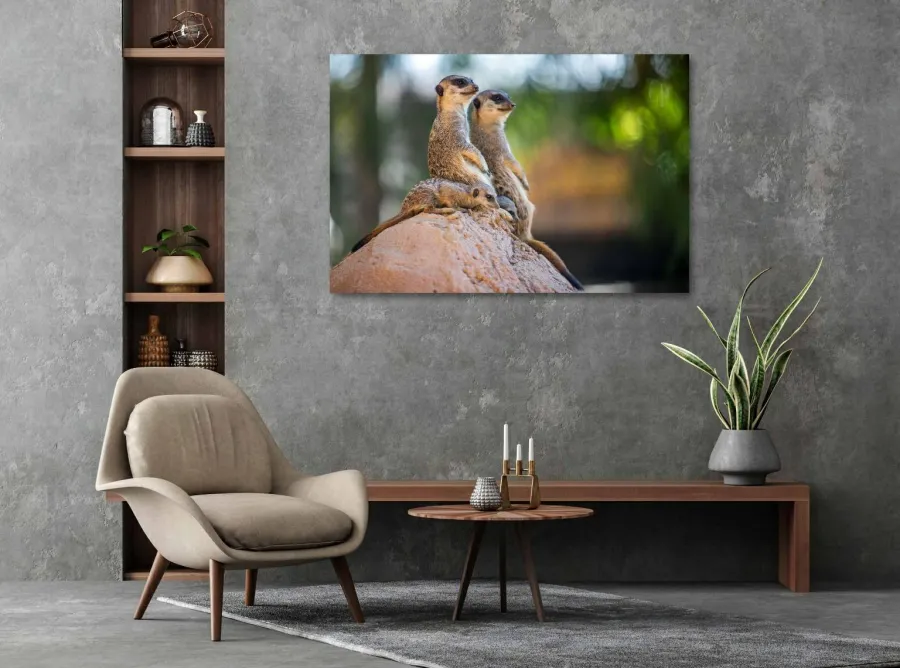 Wandkraft Wildlife 017 Discount