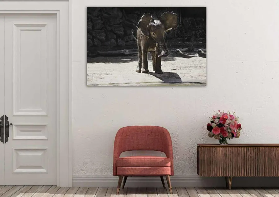 Wandkraft Wildlife 005