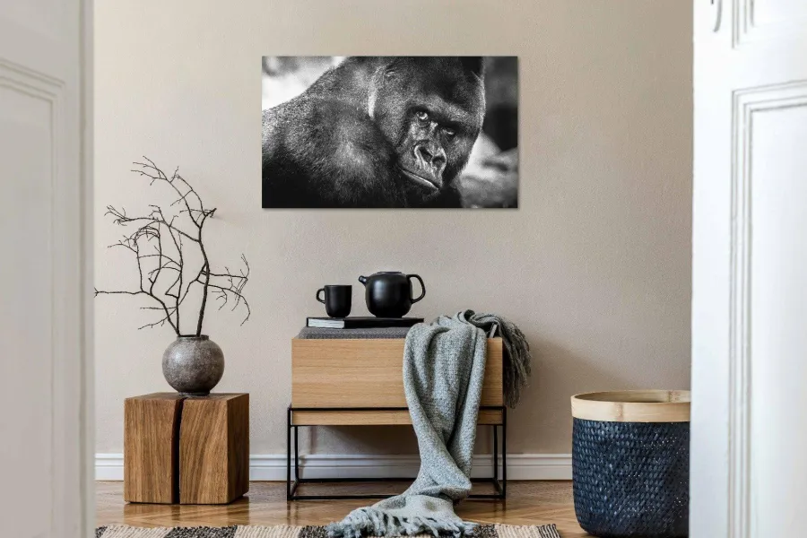 Wandkraft Wildlife 016