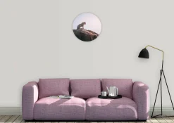 Wandkraft Wildlife 013 rond Outlet