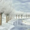 Wandkraft Winter in Holland Online