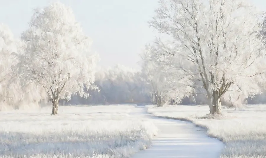 Wandkraft Winter Meadow Outlet
