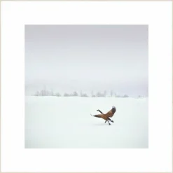 Wandkraft Winter Wonders 000 Hot