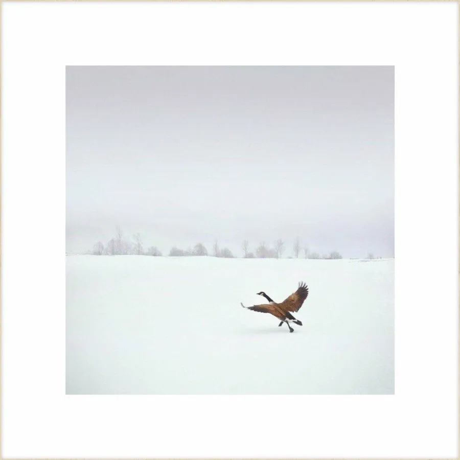 Wandkraft Winter Wonders 000 Hot