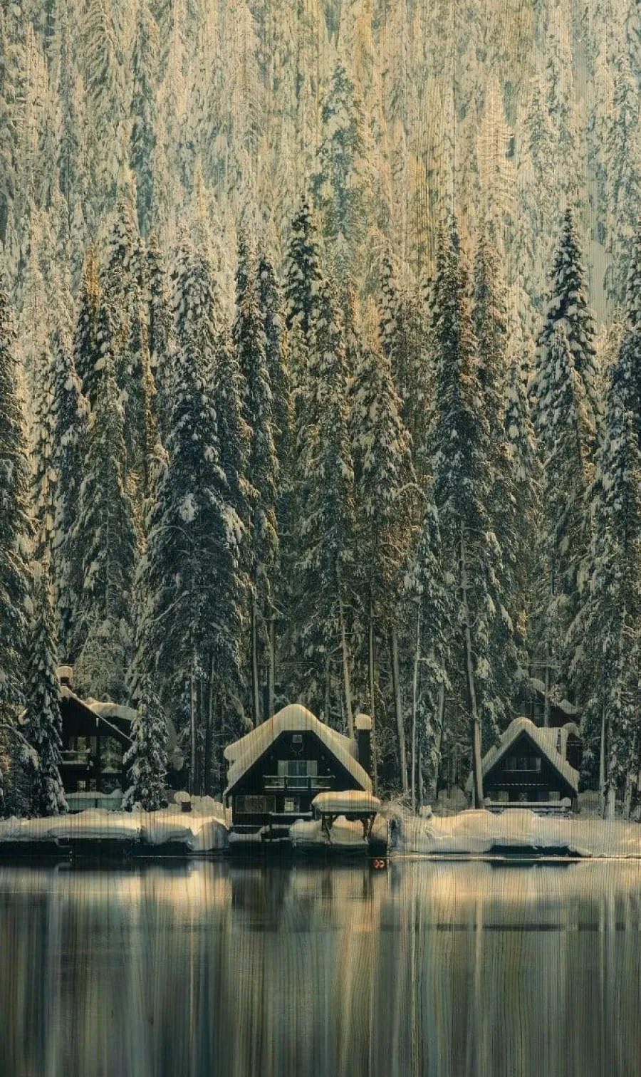 Wandkraft Winter Wonders 001 Hot
