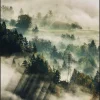 Wandkraft Winter Wonders 003 Online