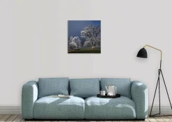 Wandkraft Winter Wonders 007 Discount