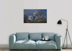 Wandkraft Winter Wonders 007 Discount