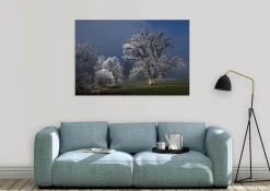 Wandkraft Winter Wonders 007 Discount