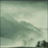 Wandkraft Winter Wonders 004 New