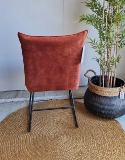 Wildeboer & v/d Weide Eettafelstoel Ivo - Diverse kleuren