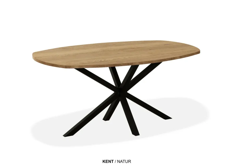 WoonMax Eettafel Kent Deens ovaal - 138, 160, 190 of 220 cm - Diverse kleuren Online
