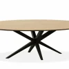 WoonMax Eettafel Wellington Ovaal uitschuifbaar Lamulux - Diverse kleuren en afmetingen