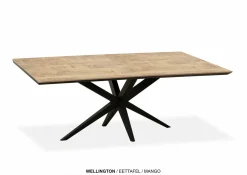 WoonMax Eettafel Wellington Rechthoek Lamulux - Diverse kleuren en afmetingen Best