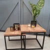WoonMax Salontafel Floris set van 2 mango lamulux New