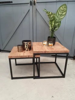 WoonMax Salontafel Floris set van 2 mango lamulux New