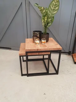 WoonMax Salontafel Floris set van 2 mango lamulux New