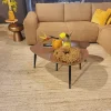 WoonMax Salontafel Vienna set van 2 L - lamulux geborsteld gehamerd koper Outlet
