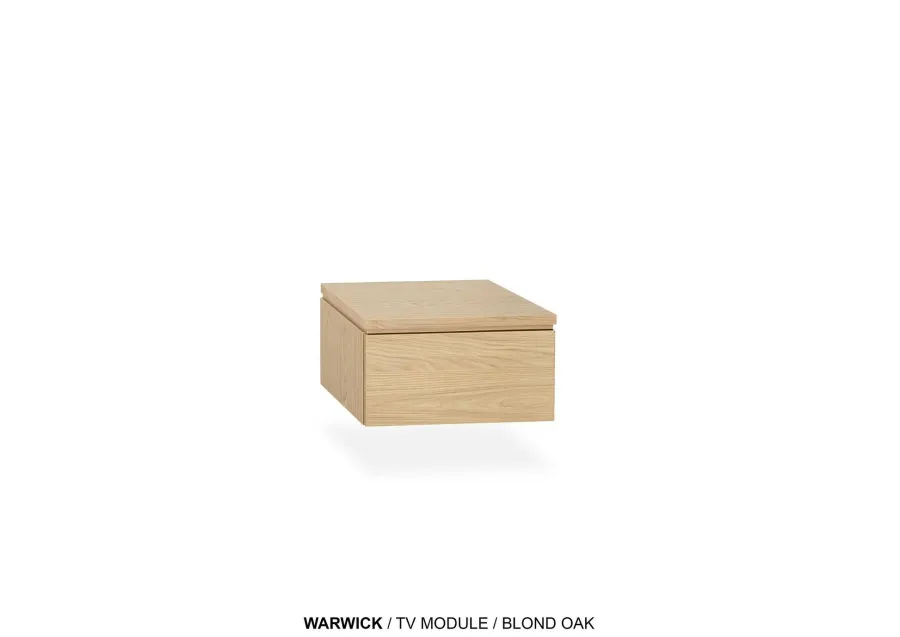 WoonMax TV meubel Warwick - 100, 150, 200 en 250 cm - laag model - hangend of staand Outlet