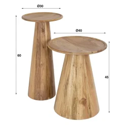 WoonStijl Bijzettafel set van 2 Cone Best