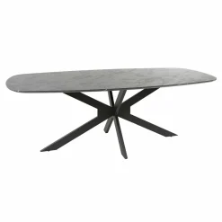 WoonStijl Eetkamertafel 215 deens ovaal zwart bruin New