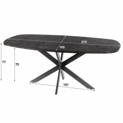 WoonStijl Eettafel 215 deens ovaal Metallic Online