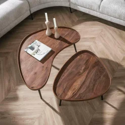 WoonStijl Salontafel Carve organisch set van 2
