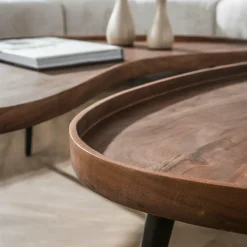 WoonStijl Salontafel Carve organisch set van 2