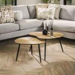 WoonStijl Salontafel set van 2 niervormig ray metal Hot