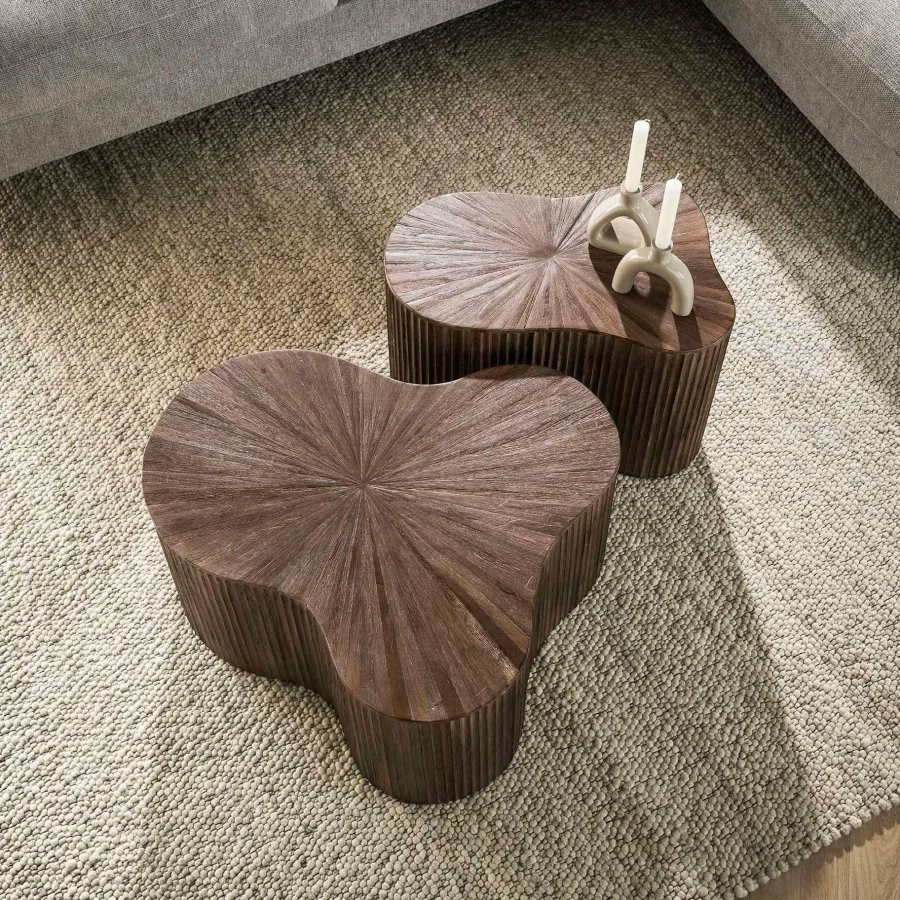 WoonStijl Salontafel set van 2 shamrock Maya teak Outlet