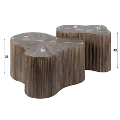 WoonStijl Salontafel set van 2 shamrock Maya teak Outlet