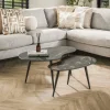WoonStijl Salontafel set van 2 niervormig fossil Hot
