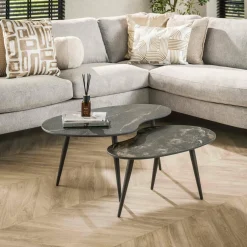 WoonStijl Salontafel set van 2 niervormig fossil Hot