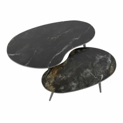 WoonStijl Salontafel set van 2 niervormig fossil Hot