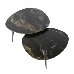 WoonStijl Salontafel set van 2 organisch fossil Clearance