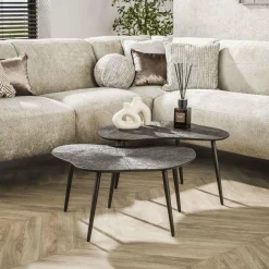 WoonStijl Salontafel set van 2 leaf Brown Ray Metal Hot