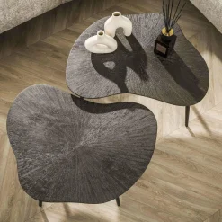 WoonStijl Salontafel set van 2 leaf Brown Ray Metal Hot