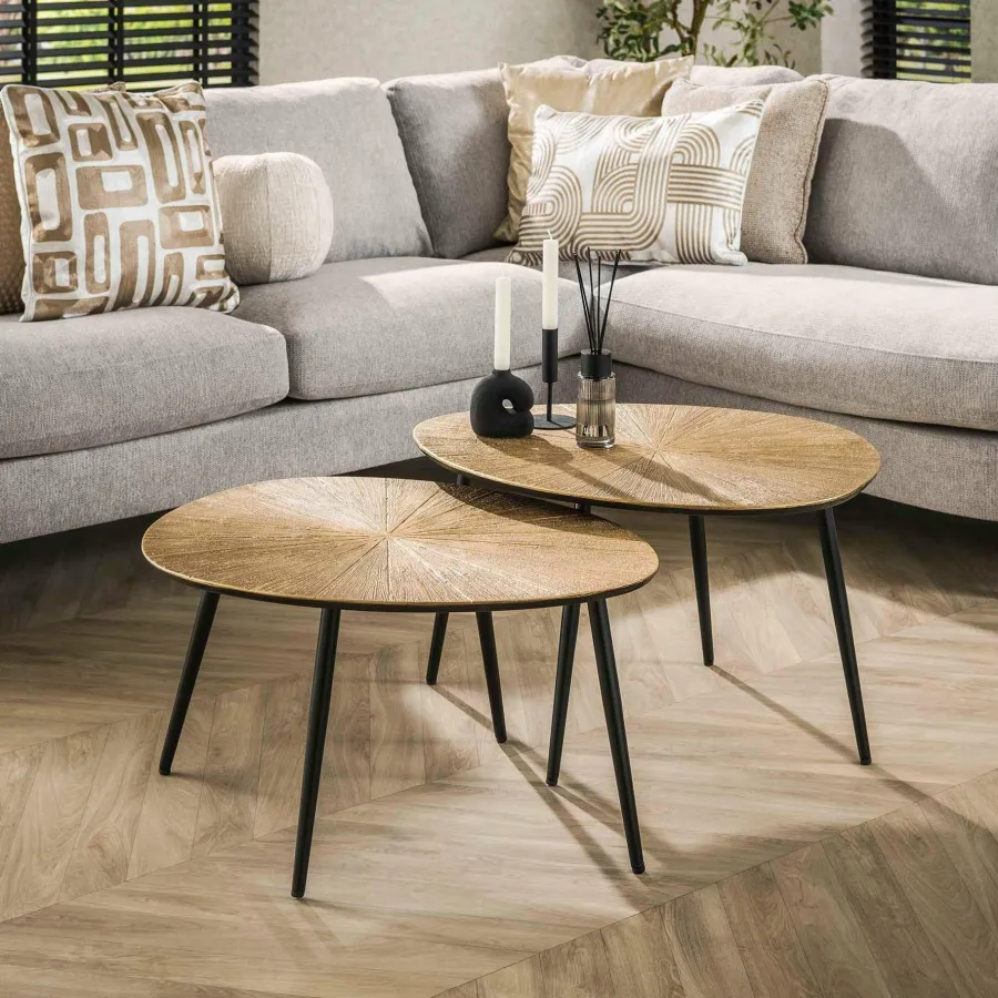 WoonStijl Salontafel set van 2 organisch ray metal