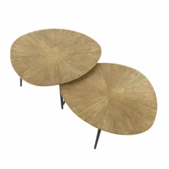 WoonStijl Salontafel set van 2 organisch ray metal