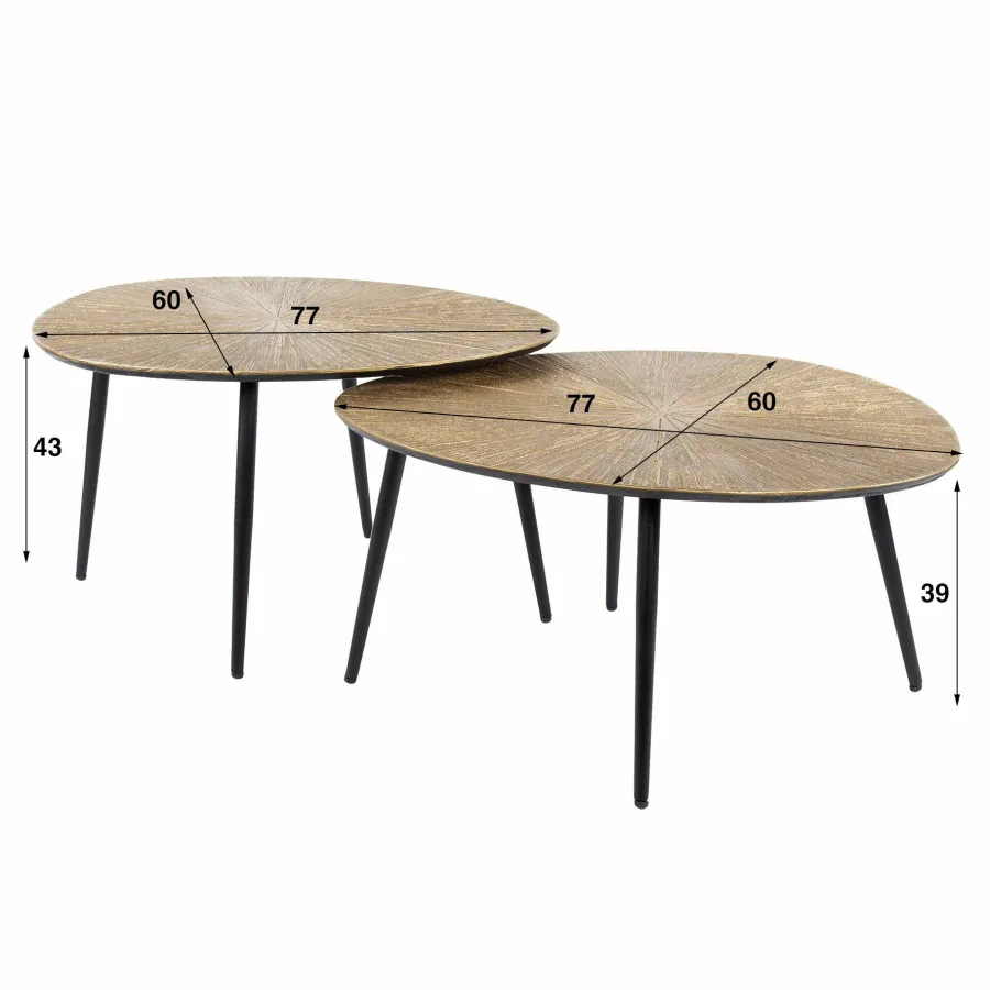 WoonStijl Salontafel set van 2 organisch ray metal