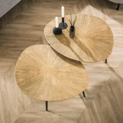 WoonStijl Salontafel set van 2 organisch ray metal