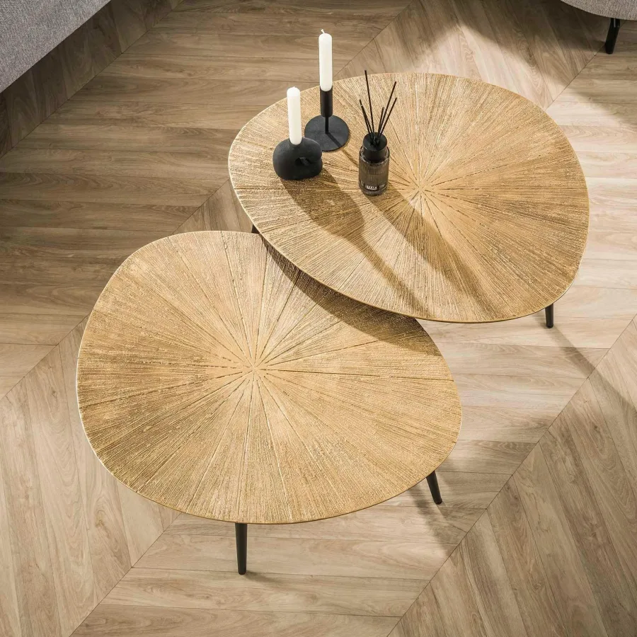 WoonStijl Salontafel set van 2 organisch ray metal
